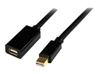 StarTech.com Câble d'extension vidéo Mini DisplayPort de 1,8 m - Rallonge Mini DP vers Mini DP - Cordon Mini DisplayPort - M/F - 4K - Rallonge de câble DisplayPort - Mini DisplayPort (F) pour Mini DisplayPort (M) - 1.8 m - verrouillé, moulé - noir MDPEXT6