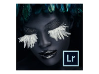 Adobe Photoshop Lightroom - (v. 6) - support - gouv. - TLP - DVD - Win, Mac - français 65237513AF00A00
